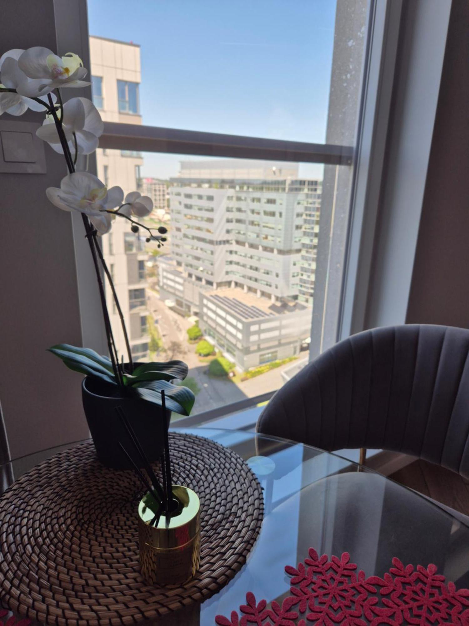 15 Pietro Sokolska 30 Towers Apartments - New- Lux- Parking- Sauna- Gym- And Good View From 15Th Floor カトヴィツェ エクステリア 写真